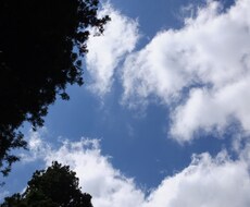 心のモヤモヤ解消　優しいタロット占いです。 イメージ1