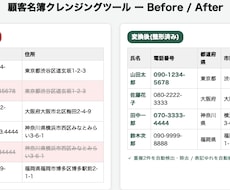 顧客名簿をコードで自動クレンジングします イメージ1