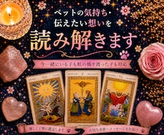 ペットの気持ち・伝えたい想いを読み解きます イメージ1