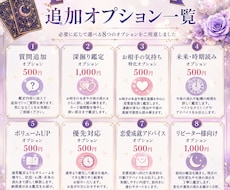 追加オプション｜追加で鑑定します