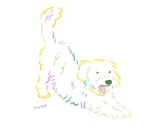 カラフルなペット描いてます オリジナルうちの子イラストどうですか？