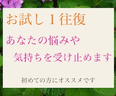 お試し１往復、あなたの悩みや気持ちを受け止めます イメージ1