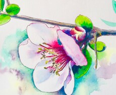 あなたの誕生日の花を描きます ラインやインスタグラムのアイコンにいかがですか？