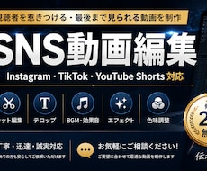 SNSショート動画を丁寧に編集します イメージ1