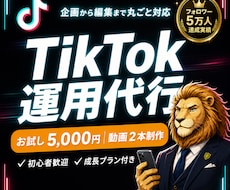 中小企業のTikTokを１ヶ月運用代行します フォロワー5万人達成チームがあなたのTikTokを丸っと運用