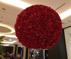 28キロのダイエットに成功した私が、教えます 。リバウンドしづらいダイエット方法です。