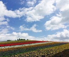 あなたが話したいこと何でも聞きます イメージ1