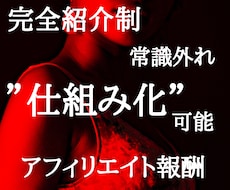 ここでしか知れないアフィリエイト案件紹介します 【仕組み化可能】【完全紹介制案件】【成果が出るまでサポート】