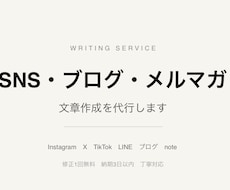 SNS投稿文・ブログ記事・メルマガ文章を作成します イメージ1