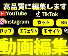 素材丸投げ可！長尺もショートも高品質に編集します イメージ1