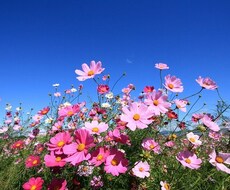 離婚を考えている方、つらいお気持ち受け止めます イメージ1