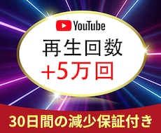 YouTube 再生回数を5万回を増やします イメージ1