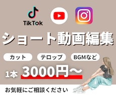 1本3,000円〜ショート動画編集します イメージ1