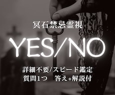 YES/NO│詳細不要答えと流れスピード鑑定します 今すぐ知りたいことを視て、進むべき方向を簡潔に示します