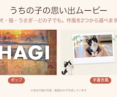 クーポン配布中 ペットの思い出動画作ります イメージ1