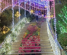 おしゃれな写真を提供いたします イメージ1
