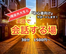 現役外大生が初心者向けに英語で会話します イメージ1