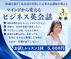 ビジネス英会話レッスンを実施いたします イメージ1