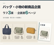 バッグ・小物の新商品企画をラフ3案付き資料にします ラフ3案から選んで、提案に使える企画書に