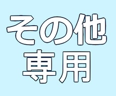 専用の場合のみ活用できます こちらは本出品とは違う場合のみご利用ください