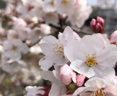 あなたを全力で褒めます イメージ1