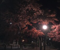 お子様の発達に関する悩み伺います イメージ1