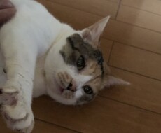 話し相手や愚痴聞きになります イメージ1