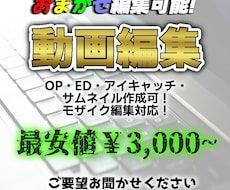 YouTuber風動画編集やります イメージ1