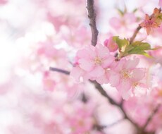 ツインソウルとの関係にアドバイス致します ツインソウルとのサイレント期間で悩んでいる方向け