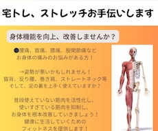 オンラインで身体機能改善パーソナルを提供します イメージ1
