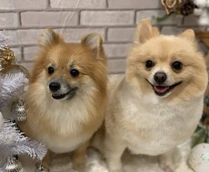 どんなお話でも5分からお相手したします イメージ1