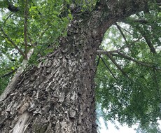 気持ちや思考のモヤモヤをほぐすお手伝いをします イメージ1
