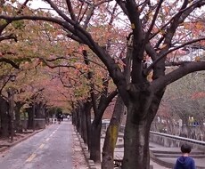 【なんでも聞きます。文字でのやりとり】未婚女性、妊婦さん、子育て中のママ、お仕事や育児で悩む男性へ。 イメージ1