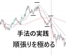 トレンドフォローを極めるための教材を提供します 聖杯探し終了。FXトレードの本質を極めたい方へ
