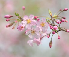 様々な事柄のカウンセリング(恋愛、法律等)をします イメージ1