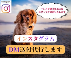 インスタグラムのDM200通を送付代行いたします 重要なダイレクトメッセージを手作業でユーザー様にお届けします