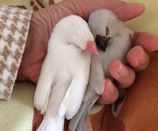 マタニティブルー、子育てや教育の悩みはございませんか？一緒に解決していきましょう！ イメージ1