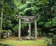 誰にも言えないドロドロした本音カードで暴きます イメージ1