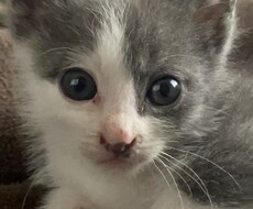 どなたでも相談乗ります イメージ1