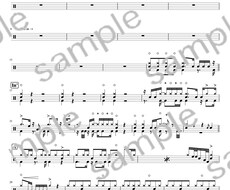 500曲以上を採譜してきた私がドラム譜つくります あなたに合わせた楽譜を最安価格で２曲作成いたします。