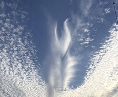 唯一無二！あなたの魂が持つ「本来の色」を伝えします イメージ1