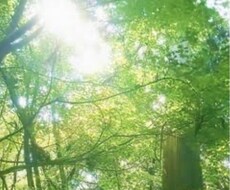 何でも聞きます、何の話相手でもします イメージ1