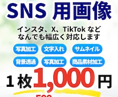 インスタ・X・TikTok用の投稿画像を制作します イメージ1