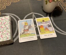 鳥タロットで今あなたに必要なメッセージを占います 24時間以内に結果をお届け♬.*ﾟ