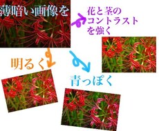 画像の色補正をします イメージ1