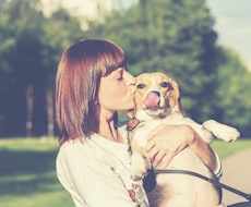 あなたと相性のいいわんちゃんを見つけます 犬種の特徴と希望のライフスタイルをマッチングした家族探し