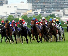 超簡単【初心者向け】競馬の必勝法を教えます イメージ1