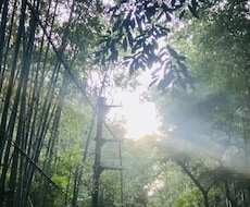 風景の素材や映像を撮影します イメージ1
