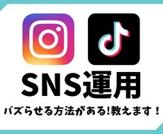 SNSをバズらせる方法教えます イメージ1