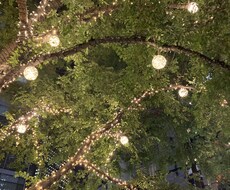 自己肯定感が低い方に寄り添います イメージ1